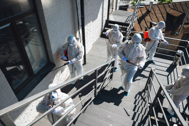 Best Mold Prevention Services  in Goodyear, AZ