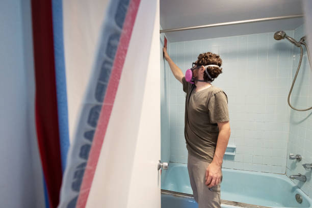  Goodyear, AZ Mold Removal Pros